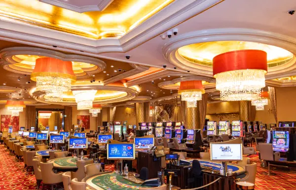 No Wagering Free Spins Casino_